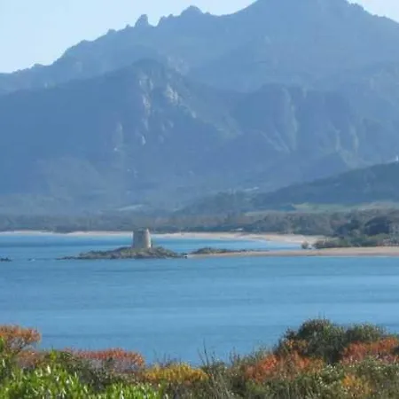 Estate In Ogliastra Sa Figumoru 5 Minuti Al Mare 公寓 巴里萨尔多