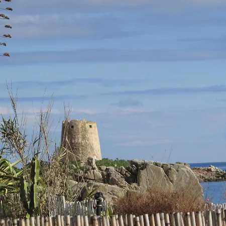 Estate In Ogliastra Sa Figumoru 5 Minuti Al Mare *
